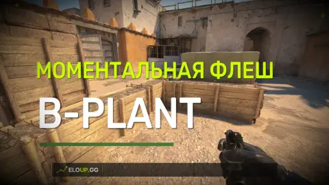 (ДАСТ 2 ИНСТА ФЛЕШ Б (DUST 2 INSTANT B FLASH B PLANT)