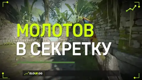 Молотов на секретку Б-сайта